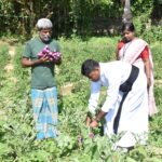 Field visit of Director to Chavakadcheri under Food Security Project